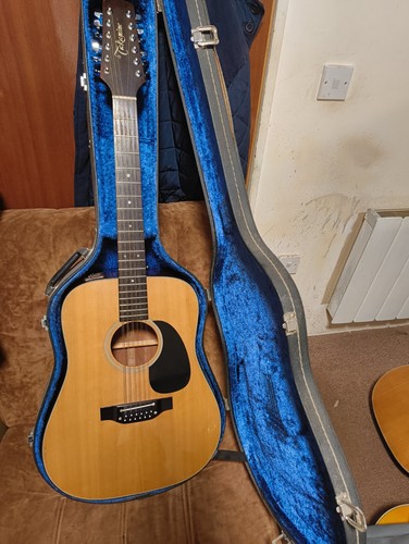 Takamine electro acoustic - takamine,