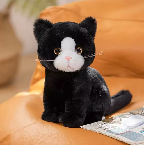 Cute black and white - , soft