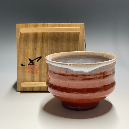 Akinari fujimoto shinshoji - fujimoto,