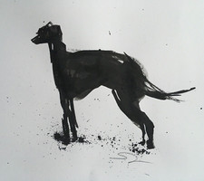 Original signed Ink sketch of Whippet Greyhound Lurcher A4 approx.