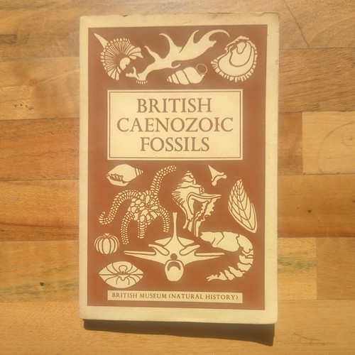 British palaeozoic fossils - british,