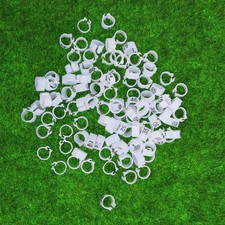 100 PCS Parrot Toys Pigeon