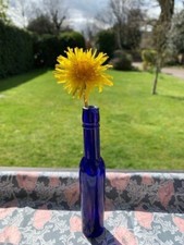 Cobalt Blue Medicine, Inkwell