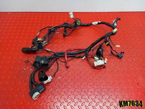 Electric system benelli - electric,