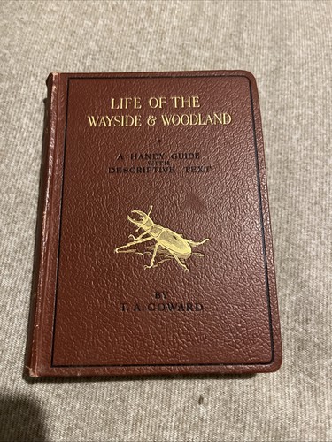 Life the wayside and - life,