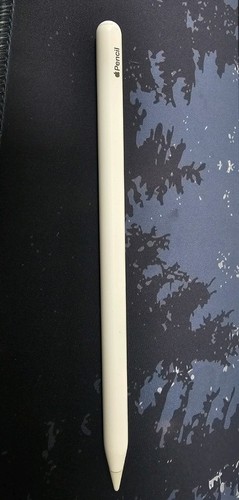 Apple pencil 2nd gen genuine - pencil,