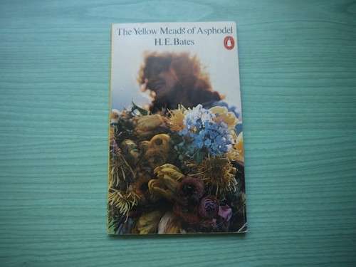 The yellow meads - yellow, asphodel