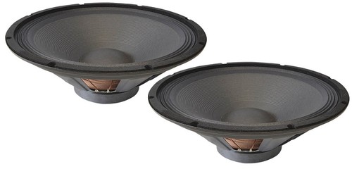 Speaker driver 300 watt - 15",