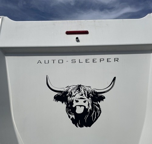 Highland cow head decal - highland,