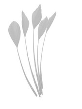 Long Fascinators Feathers