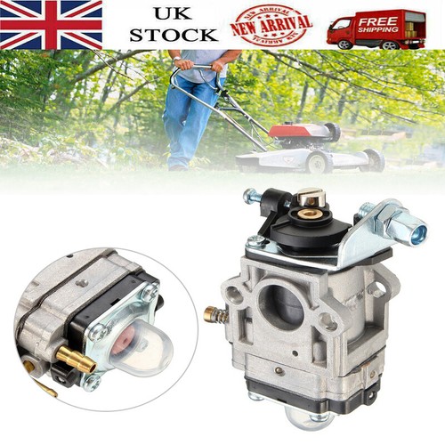 Carburetor for mountfield - carburetor, echo