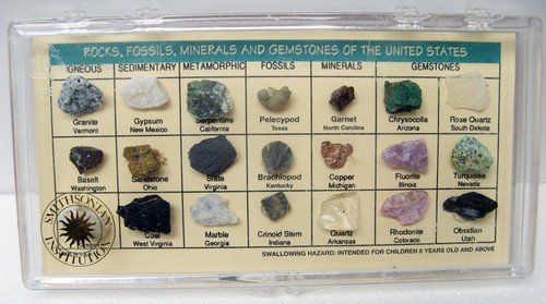 Rocks fossils minerals and - fossils,