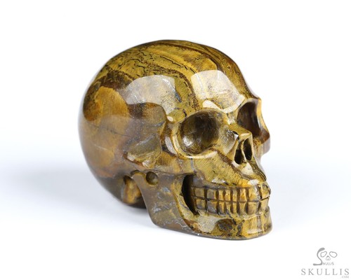 Tiger iron eye - 2.0", hand