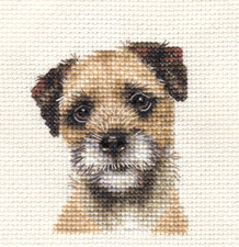 BORDER TERRIER Dog Puppy Full