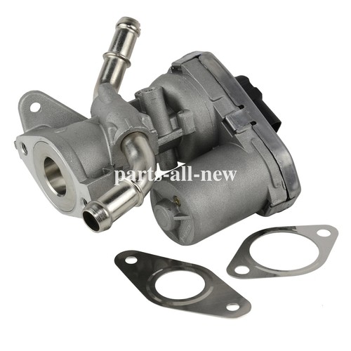 Egr valve gaskets - egr, for