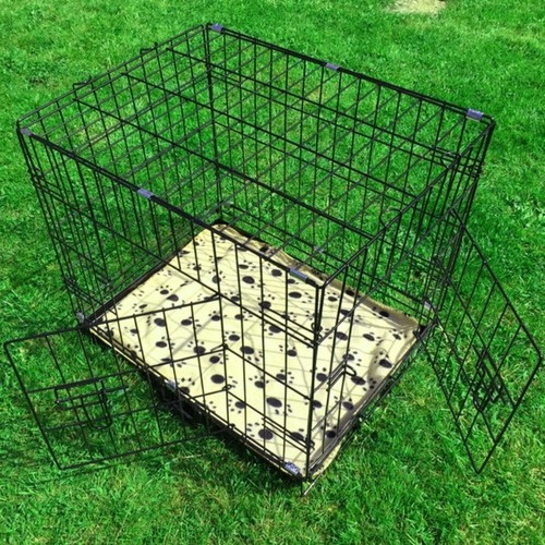 Avc puppy - avc,