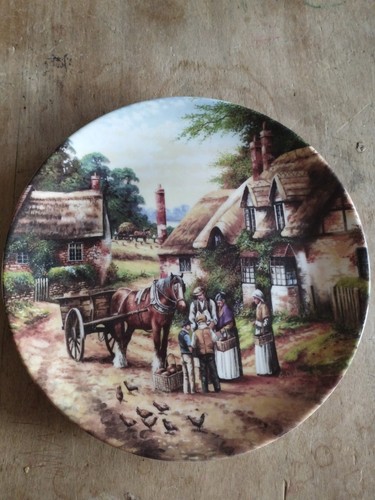 Wedgewood plate 311c buying - wedgewood, no