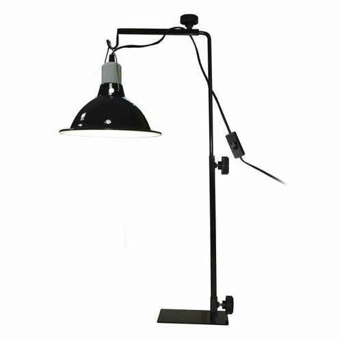 Komodo tortoise table light - table,