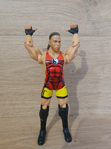 Wwe rob van dam wrestling - van,