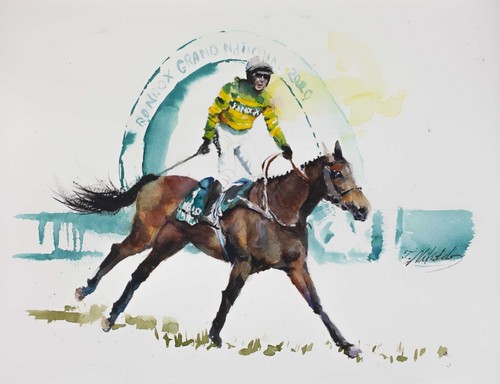 Maximus aintree - am,