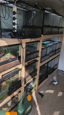 Reptile vivarium Rack Exo