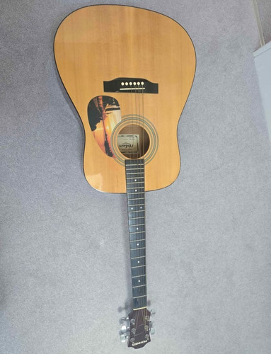 Hohner hw220p dreadnought - hohner,