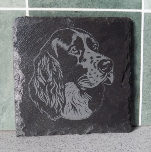 New engraved springer - engraved, 'springer
