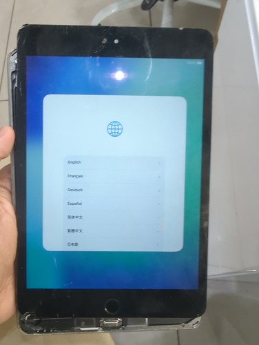 Apple ipad mini - apple,