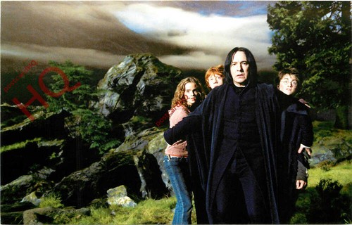Picture postcard harry - postcard-,