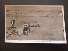 1950 CYPRUS SHEPHERDS FLOCK & FLUTE AT THE WELL. FAMAGUSTA ANDREAS SOTERIOU...
