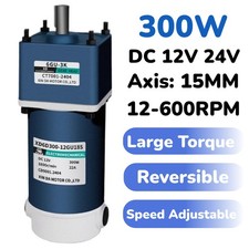DC 12V 24V 300W Gear Reduction