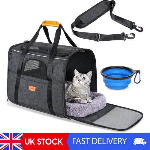 Cat carrier airline approved - cat,