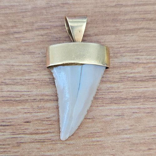 Shark tooth fossil pendant - shark,