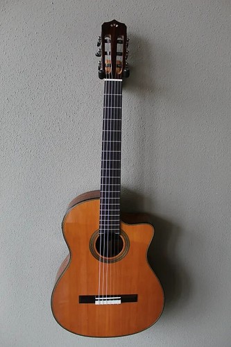 Brand new cordoba fusion - new,