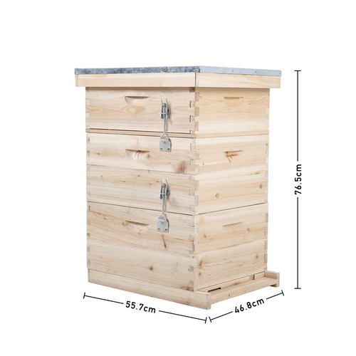 Langstroth bee hive beekeeping - bee,