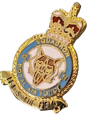 Squadron royal air - royal,
