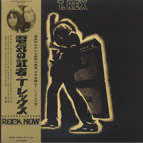 Rex electric warrior - t,