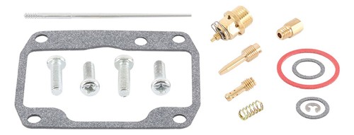 Carburetor rebuild kit - carburetor, for