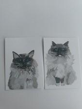 ACEO Pair Of Ragdoll Cats