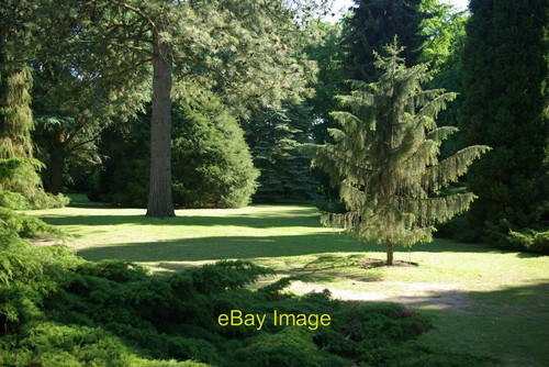Photo 6x4 the pinetum - pinetum, anglesey