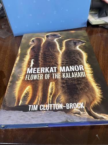 Meerkat manor flower - meerkat, the
