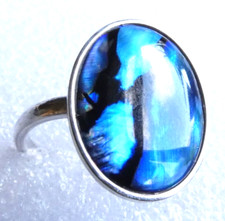Striking Sterling Silver band and Paua Shell Cabochon, Ring. Size Q.
