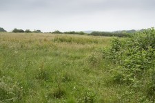 Photo 6x4 Rough Pasture