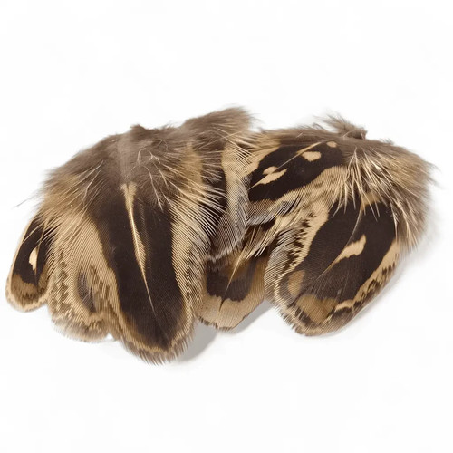 Kindale hen pheasant shoulder - pheasant,