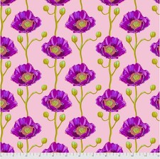 Anna Maria Horner Free Spirit