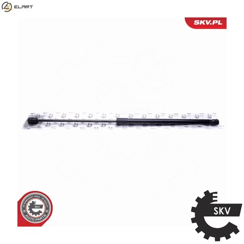 Gas spring bootcargo area - gas,