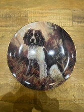 Dog Plate John Trickett,"Perfect Portrait", The Springer Spaniel Collectors