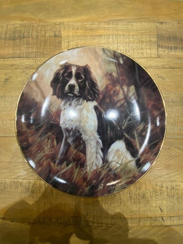 Dog plate john - dog,