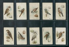 Gallaher Ltd BIRDS & EGGS x 35 different 1905 Scarce Cards
