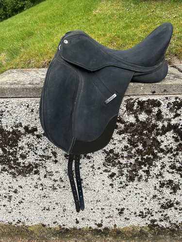 Black collegiate dressage - 16.5,